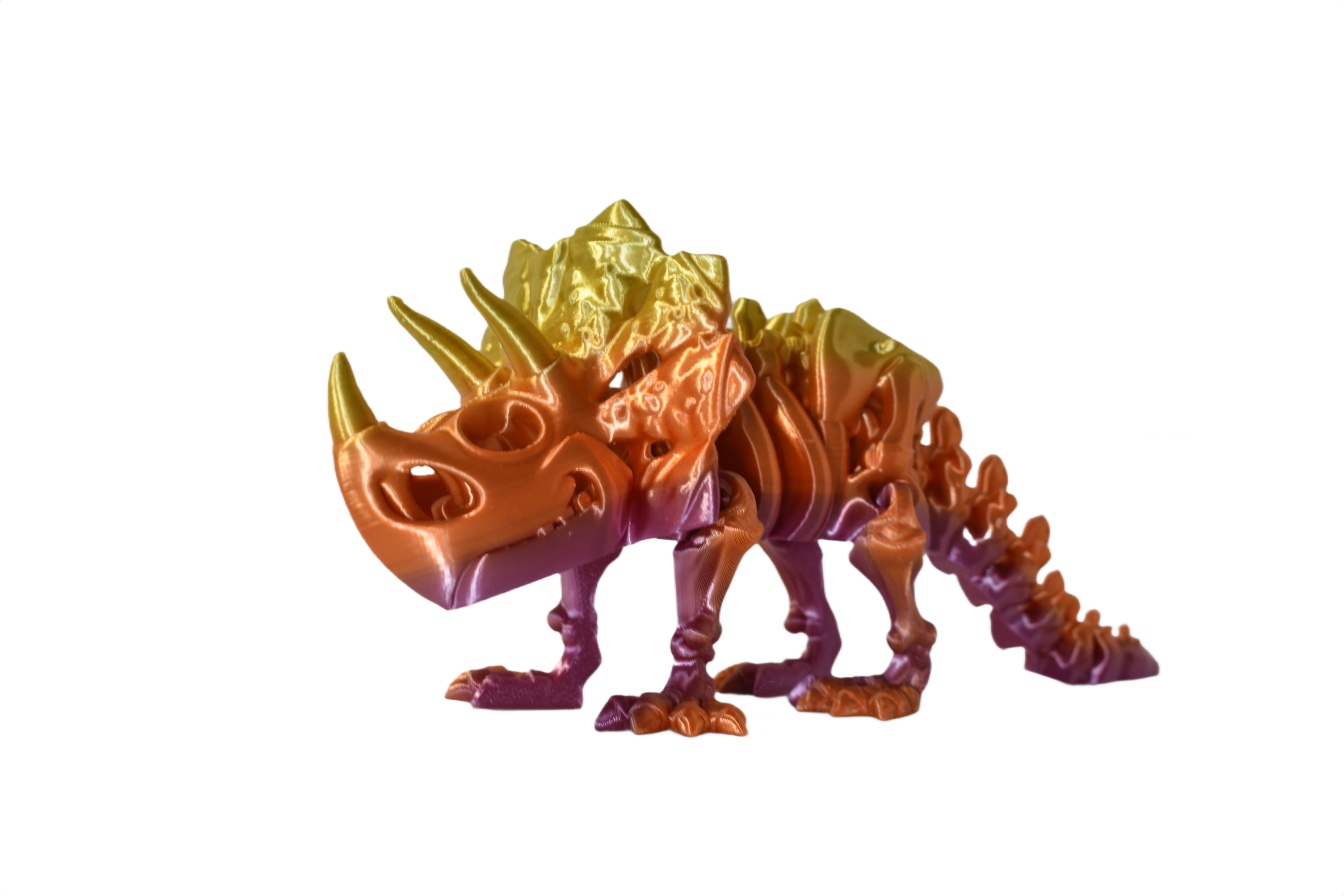 ChromaFossils
