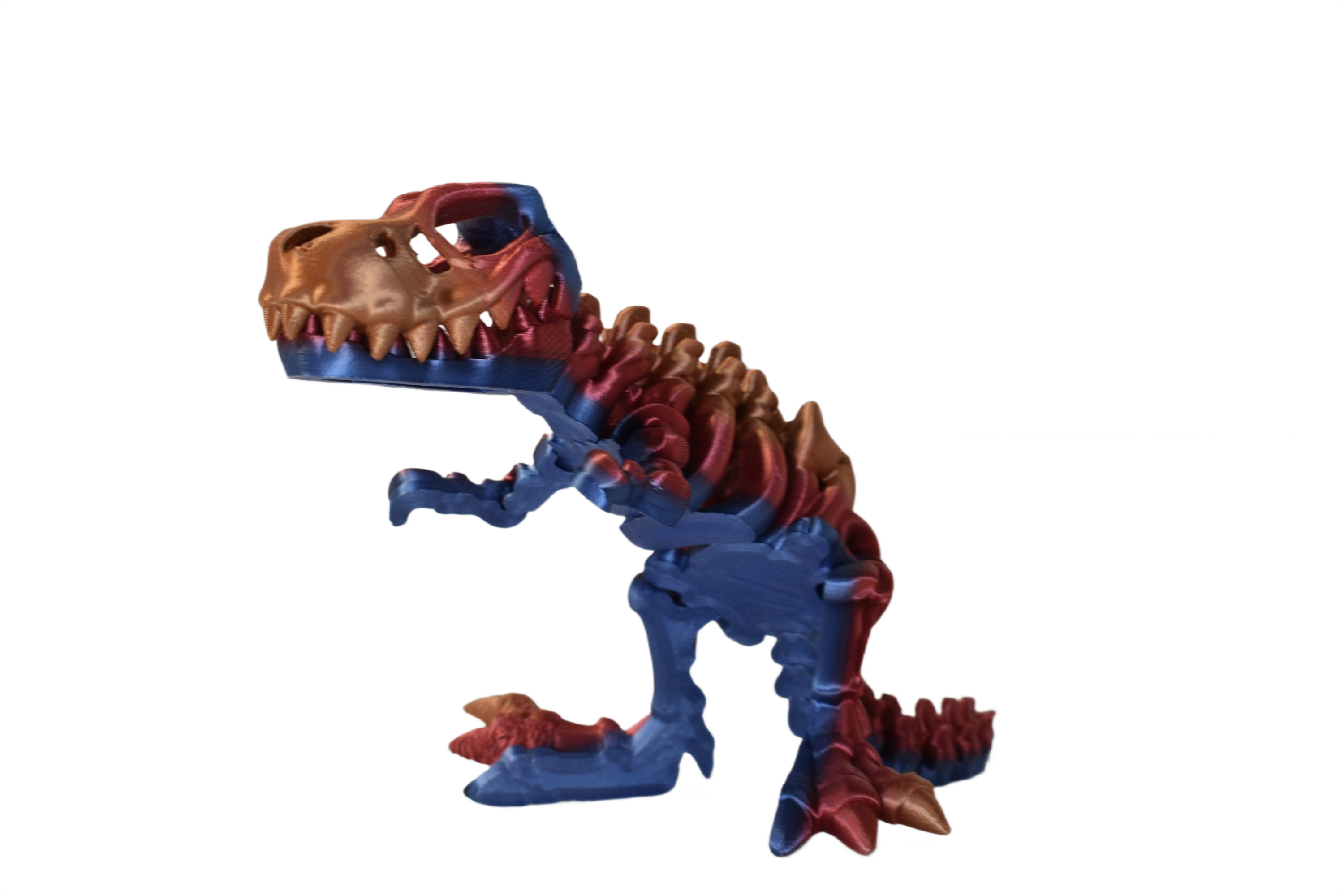 ChromaFossils