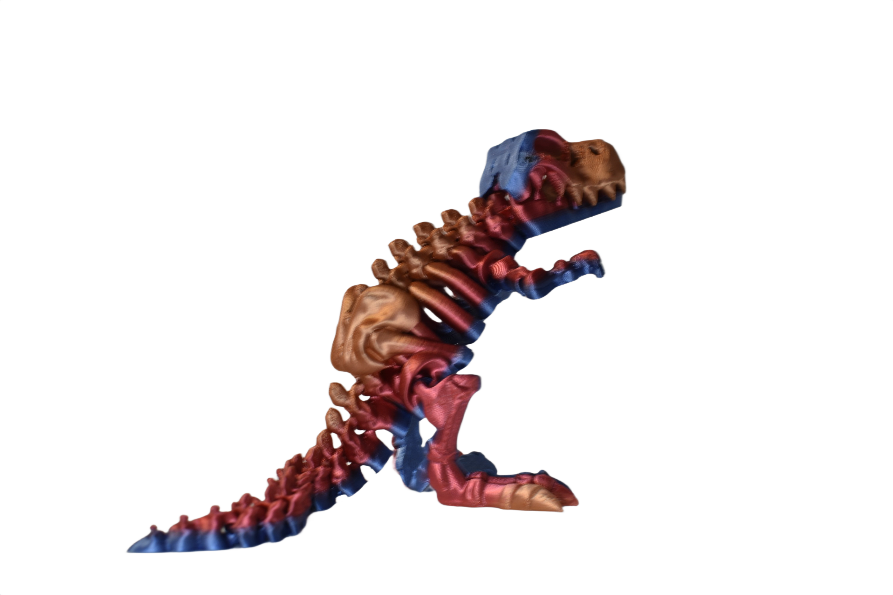 ChromaFossils