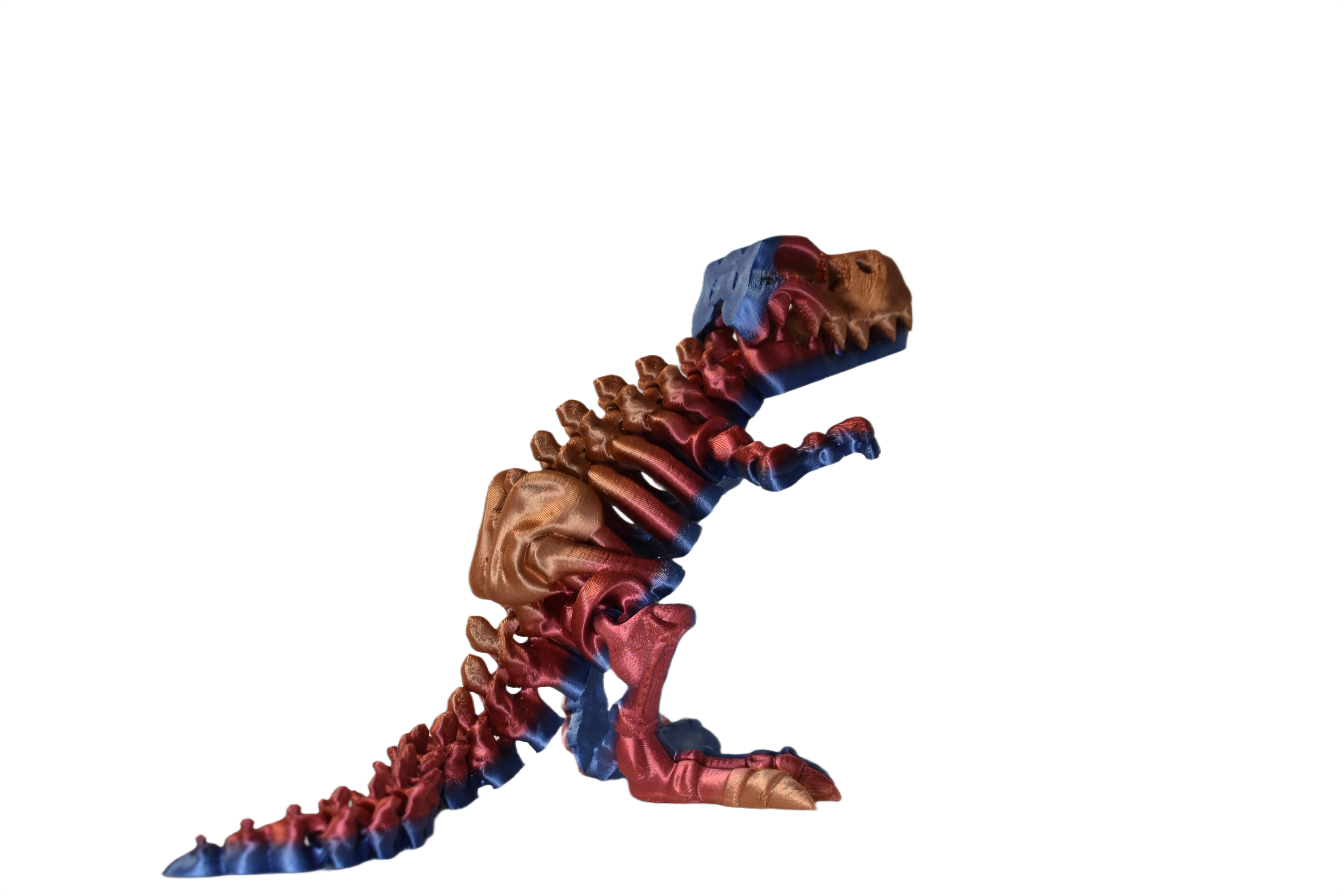 ChromaFossils
