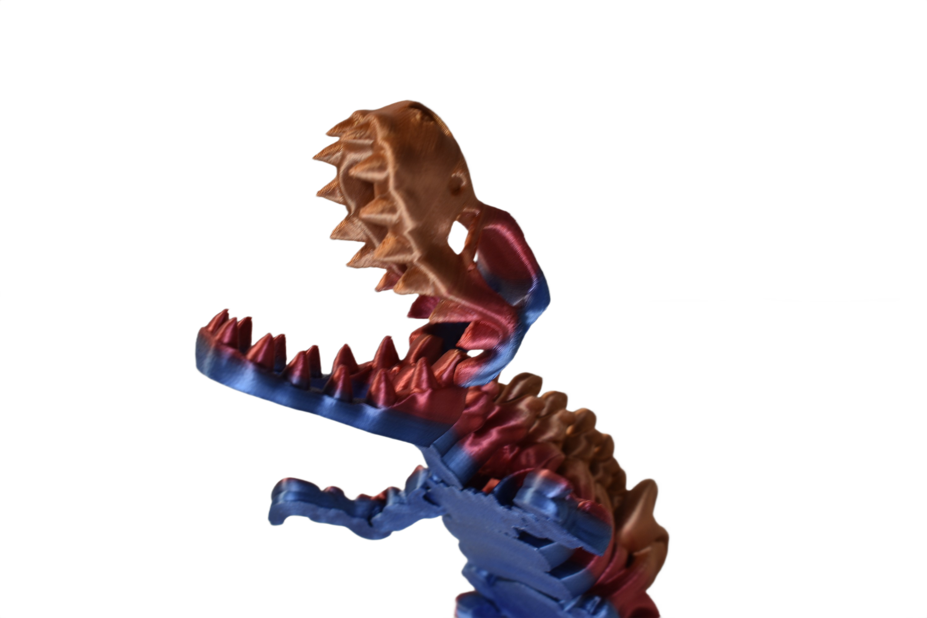 ChromaFossils