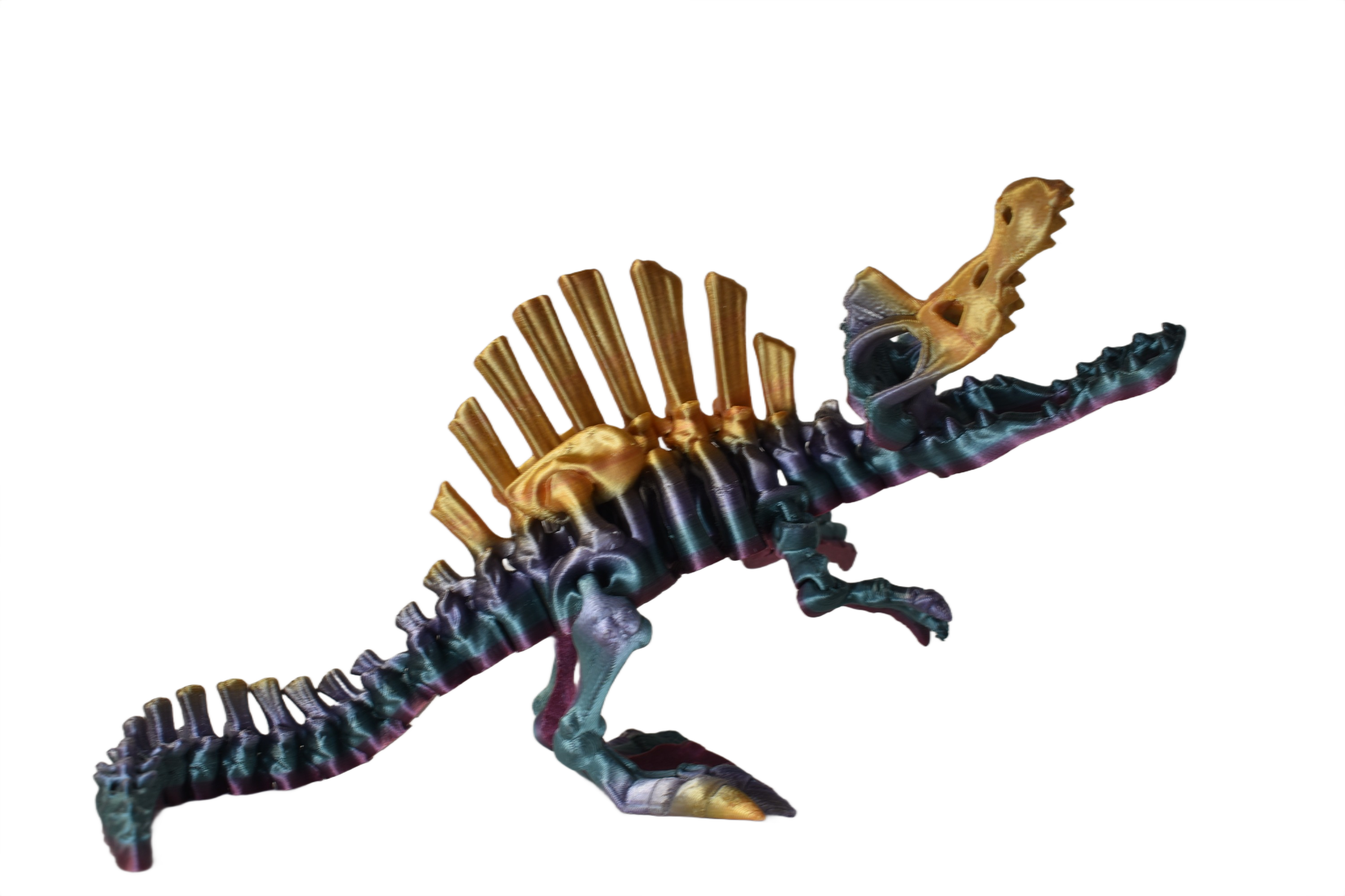 ChromaFossils