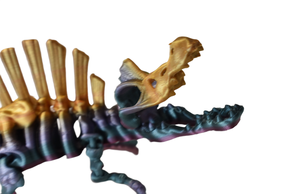ChromaFossils