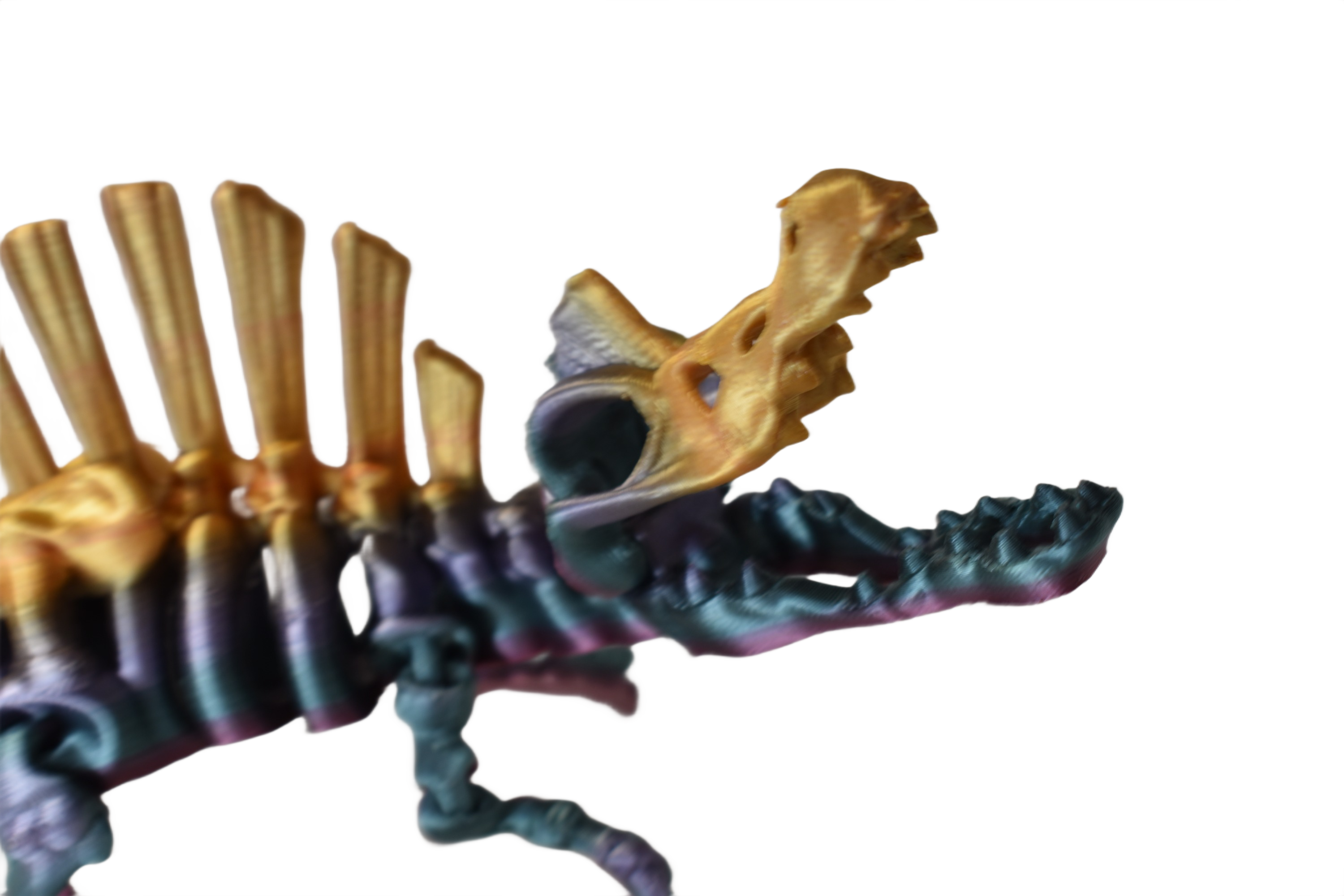 ChromaFossils